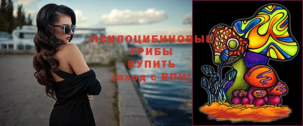 мяу мяу мука Баксан
