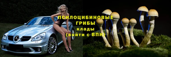 мяу мяу мука Баксан
