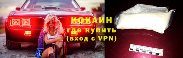 мяу мяу мука Баксан
