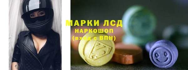 мяу мяу мука Баксан