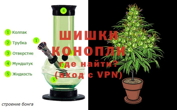 мяу мяу мука Баксан