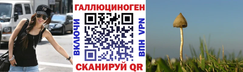 Галлюциногенные грибы мицелий  Черняховск 